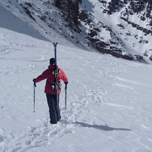 Ремни для переноски лыж Trinka MO2390