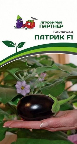 Баклажан Патрик F1 / гирид