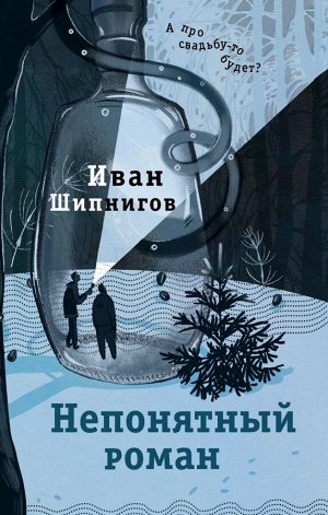 Шипнигов И.В. Непонятный роман