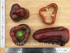 Агрофирма Партнёр Перец сладкий Клаудио F1