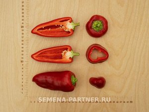 Перец сладкий Союз F1