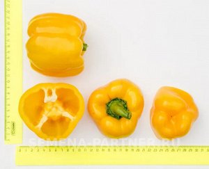 Перец сладкий Тавиньяно F1