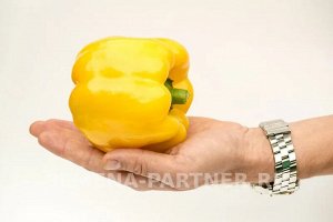 Перец сладкий Тавиньяно F1