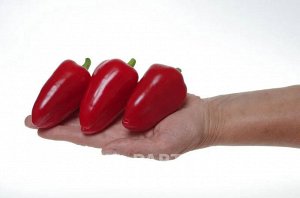 Перец сладкий Фьюджи