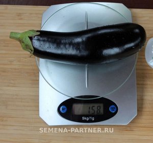 Баклажан Алмаз
