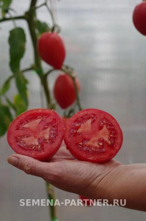 Томат Фукс F1 / Гибриды томата с розовыми плодами