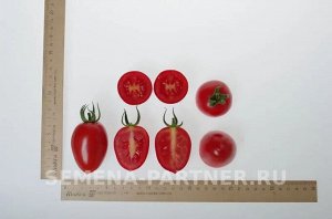 Агрофирма Партнёр Томат Фифа F1 Мелкоплодные гибриды томата с массой плода до 100 г