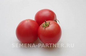 Томат Леди Роуз F1 / Гибриды биф-томатов с массой плода свыше 250 г