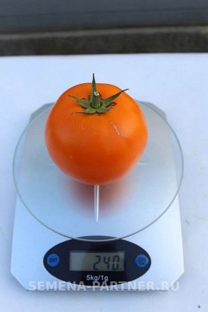 Томат Оранж Биф F1 / Гибриды биф-томатов с массой плода свыше 250 г