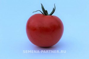 Агрофирма Партнёр Томат Ахмар F1 Гибриды томата с массой плода 100-250 г