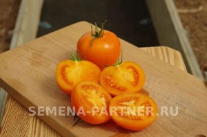 Агрофирма Партнёр Томат Анвар F1 Гибриды томата с желто-оранжевыми плодами