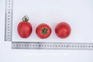 Томат Покрасневшая Невеста F1 / Мелкоплодные гибриды томата с массой плода до 100 г