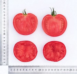 Томат Деметра F1 / Гибриды томата с массой плода 100-250 г
