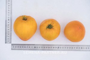 Томат Желтая Империя F1 / Гибриды биф-томатов с массой плода свыше 250 г