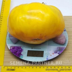 Агрофирма Партнёр Томат Желтая Империя F1 Гибриды биф-томатов с массой плода свыше 250 г