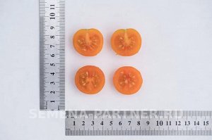 Агрофирма Партнёр Томат Черри Кирино F1 Гибриды томата черри и коктейльные