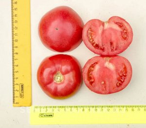 Томат Эволюция F1 / Гибриды биф-томатов с массой плода свыше 250 г
