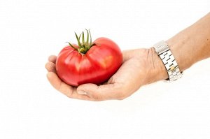 Томат Гордость Застолья F1 / Гибриды биф-томатов с массой плода свыше 250 г
