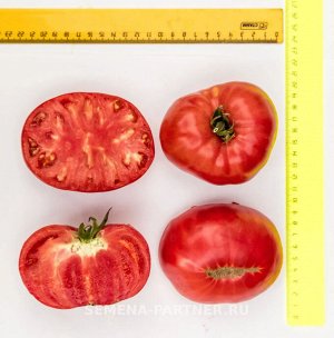 Томат Гордость Застолья F1 / Гибриды биф-томатов с массой плода свыше 250 г