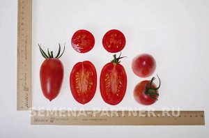 Томат Леон F1 / Мелкоплодные гибриды томата с массой плода до 100 г
