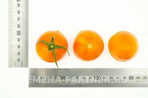 Томат Барокко F1 / Гибриды томата с желто-оранжевыми плодами