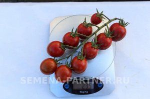 Томат Тигровый Коктейль F1 / Гибриды с повышенным ликопином и красно-бурой окраской плодов