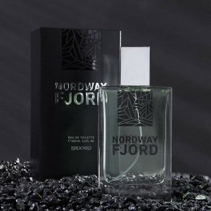 NEW Туалетная вода NordWay Fjord (Нордвэй Фьорд) 100 мл мужская