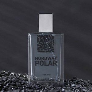 NEW Туалетная вода NordWay Polar (Нордвэй Полар) 100 мл мужская
