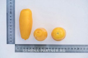Томат Банановые Ноги ® / Сорт томата