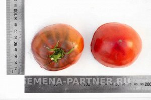 Агрофирма Партнёр Томат Фиолетовое Сердце Сорт томата