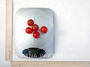 Томат Каменный Цветок F1 / Гибриды томата черри и коктейльные для открытого грунта