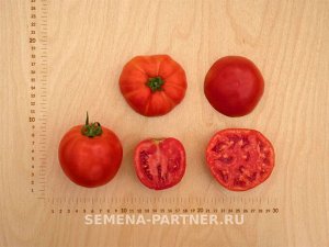 Томат Феодал F1 / Гибриды томата с крупными плодами
