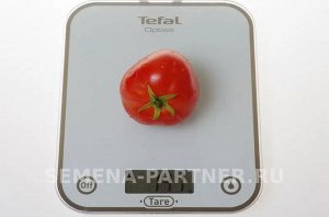 Томат Верочка F1 ® / Скороспелые гибриды томата универсального типа