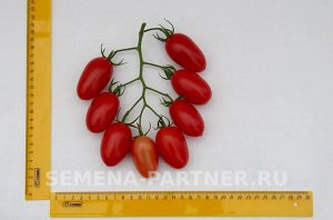 Агрофирма Партнёр Томат Джек Пот F1 ® Гибриды томата с необычной формой плодов