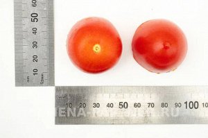 Томат Сан Сиро F1 / Гибриды томата с необычной формой плодов