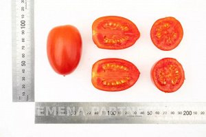 Томат Сан Сиро F1 / Гибриды томата с необычной формой плодов