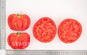 Агрофирма Партнёр Томат Деревенский F1 Гибриды томата с крупными плодами