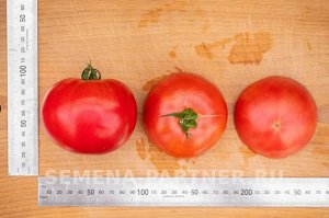 Томат Пинк Интуишн F1 / Гибриды томата с крупными плодами