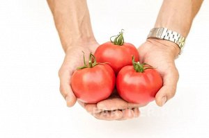 Томат Герцогиня Вкуса F1 / Гибриды томата с розовыми плодами