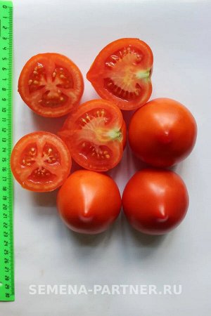 Агрофирма Партнёр Томат Агаша F1 Гибриды томата с желто - оранжевыми плодами
