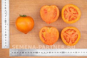 Томат Золотая Миля F1 / Гибриды томата с желто - оранжевыми плодами