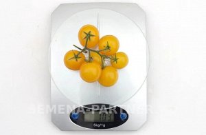 Томат Балконное Чудо (желтый) / Сорта томата для открытого грунта