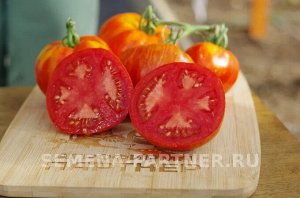 Томат Сердцевидный Полосатый / Сорта томата для открытого грунта