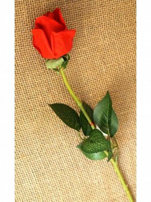 Роза бутон 54 см цвет алый