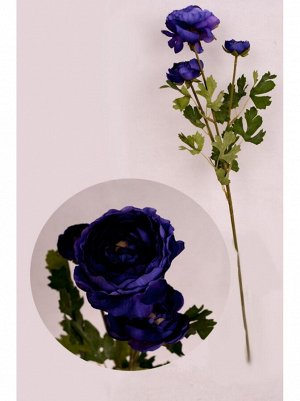Цветок Лютик азиатский (ранункулюс) 60-63 см цвет синий