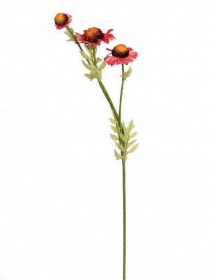 Хризантема корейская (медовые соты) цвет красный 80см