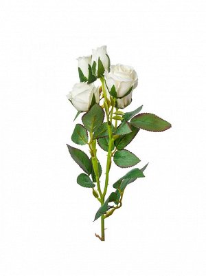 Роза букет 42 см цвет белый 0042-13