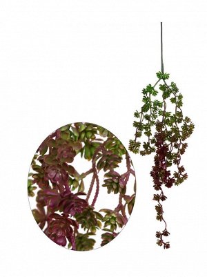 Каменная роза ветка 60 см цвет фиолетово-зеленый HS-64-72