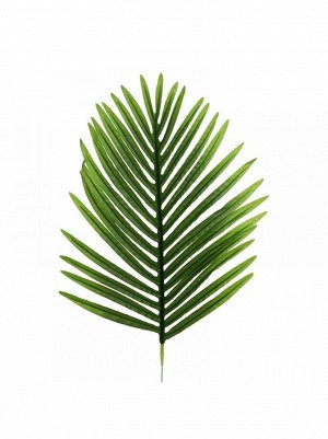 Пальма лист 56 см цвет зеленый HS-8-7