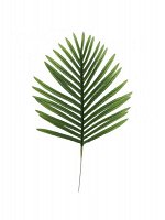 Пальма лист 60 см цвет зеленый HS-8-8
